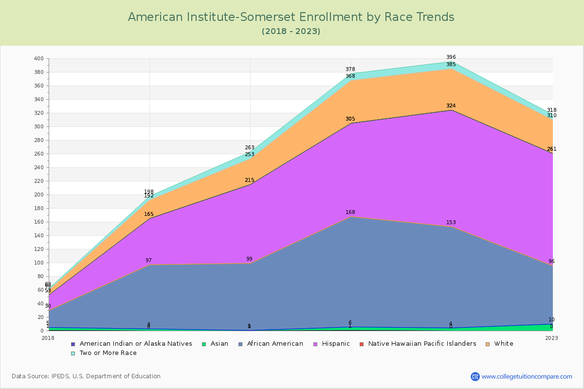 American Institute-Somerset Enrollment by Race Trends Chart