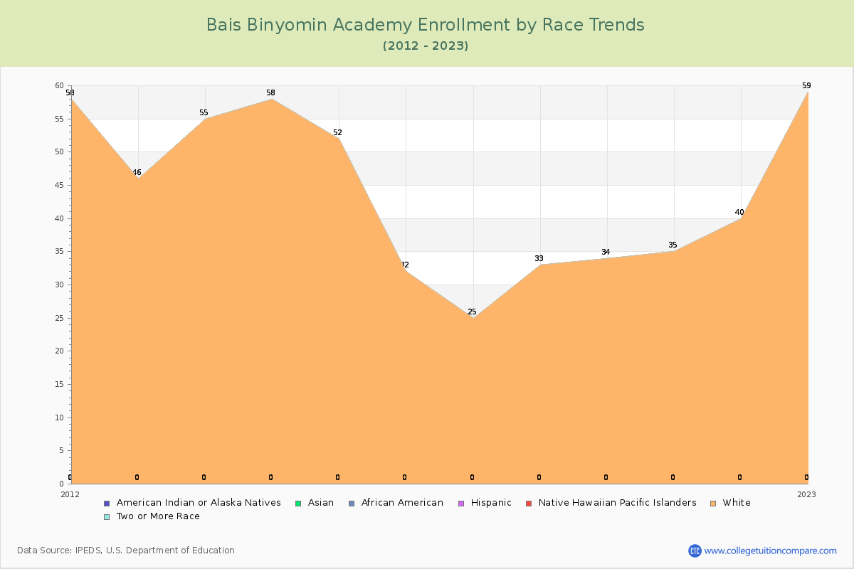 Bais Binyomin Academy Enrollment by Race Trends Chart