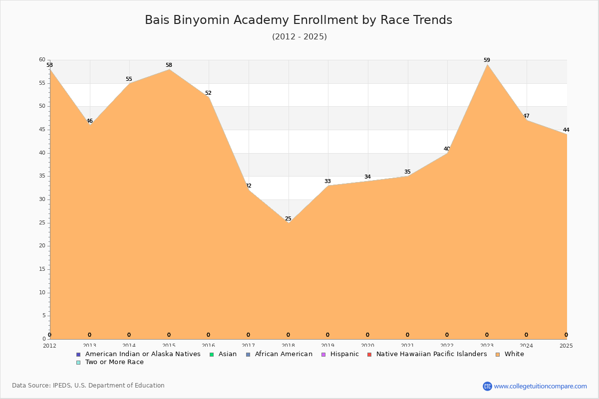 Bais Binyomin Academy Enrollment by Race Trends Chart