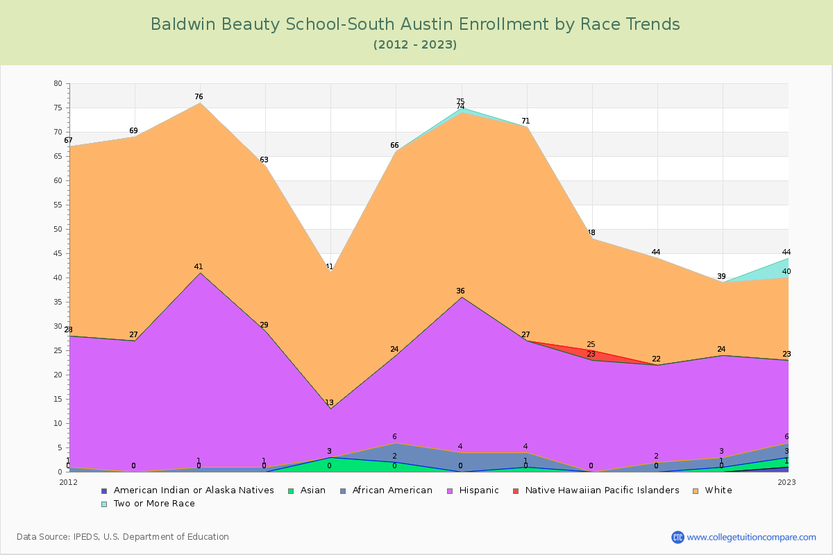 Baldwin Beauty School-South Austin Enrollment by Race Trends Chart