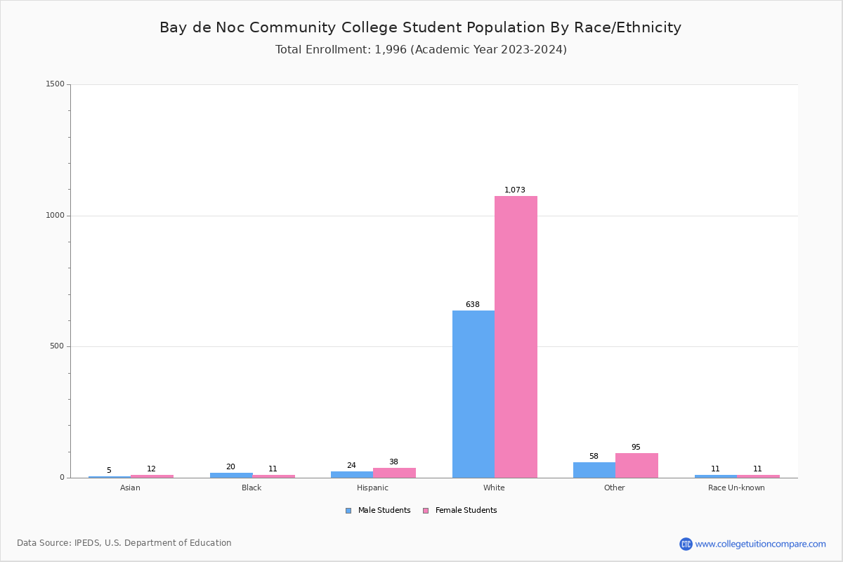Bay College Student Population and Demographics