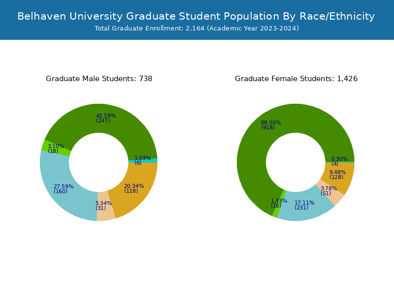 Belhaven University Student Population and Demographics