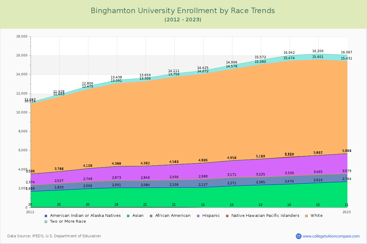 Binghamton University Enrollment by Race Trends Chart