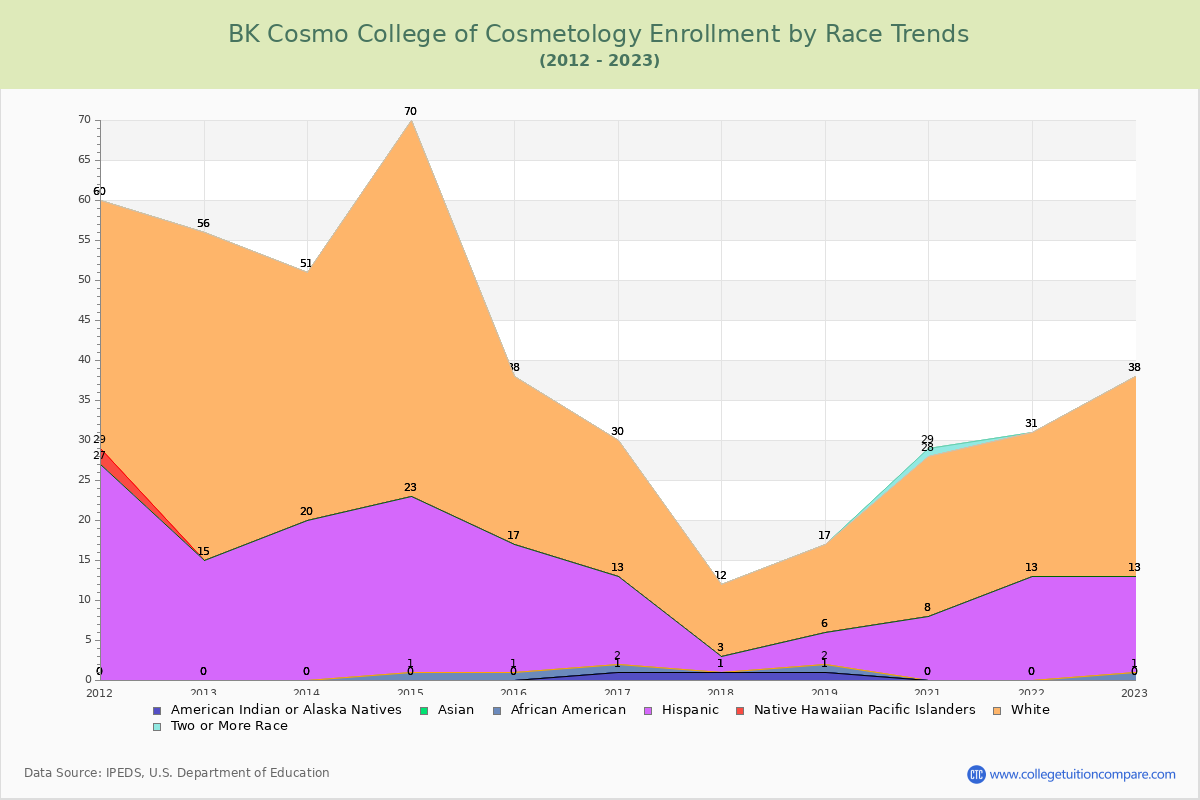 BK Cosmo College of Cosmetology Enrollment by Race Trends Chart