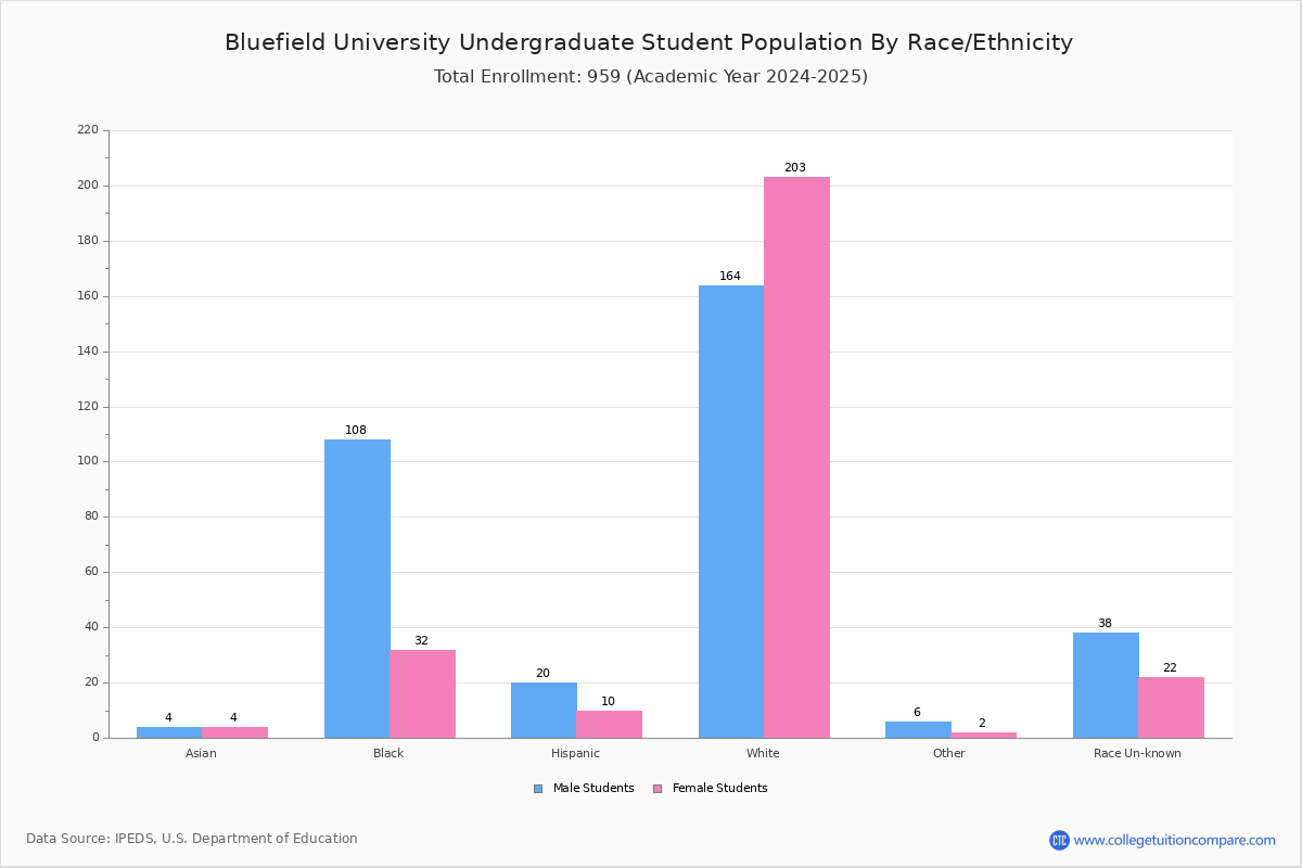 Bluefield University Student Population and Demographics
