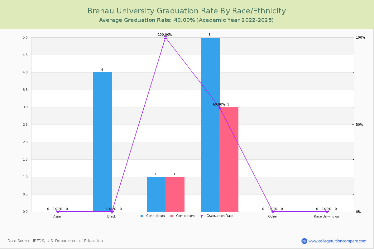 Brenau University graduate rate by race