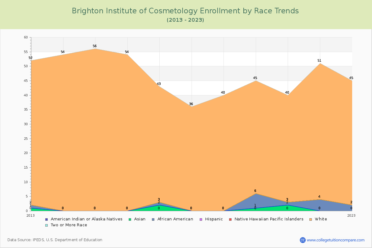 Brighton Institute of Cosmetology Enrollment by Race Trends Chart