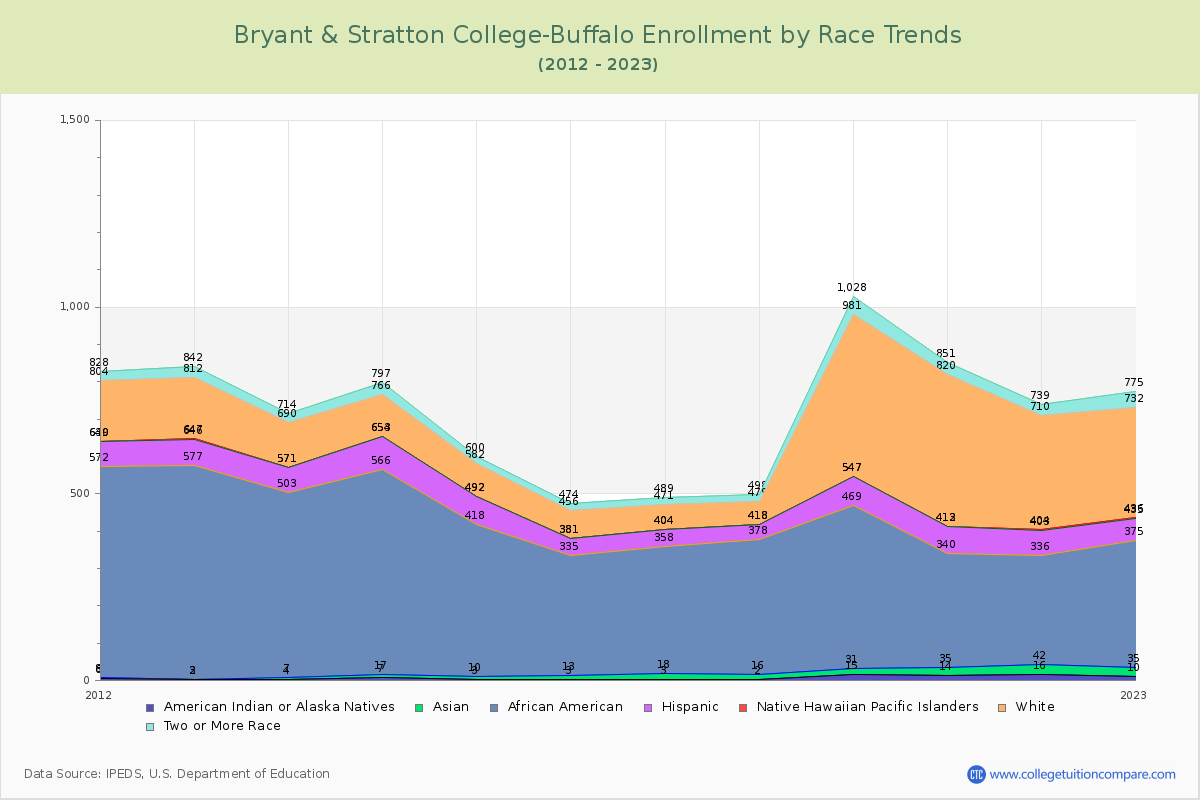 Bryant & Stratton College-Buffalo Enrollment by Race Trends Chart