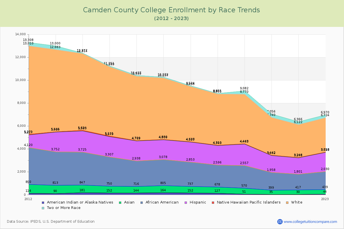 Camden County College Enrollment by Race Trends Chart