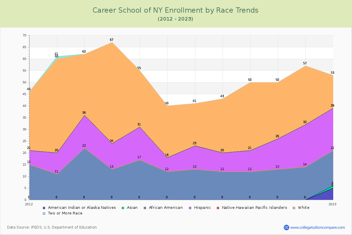 Career School of NY Enrollment by Race Trends Chart