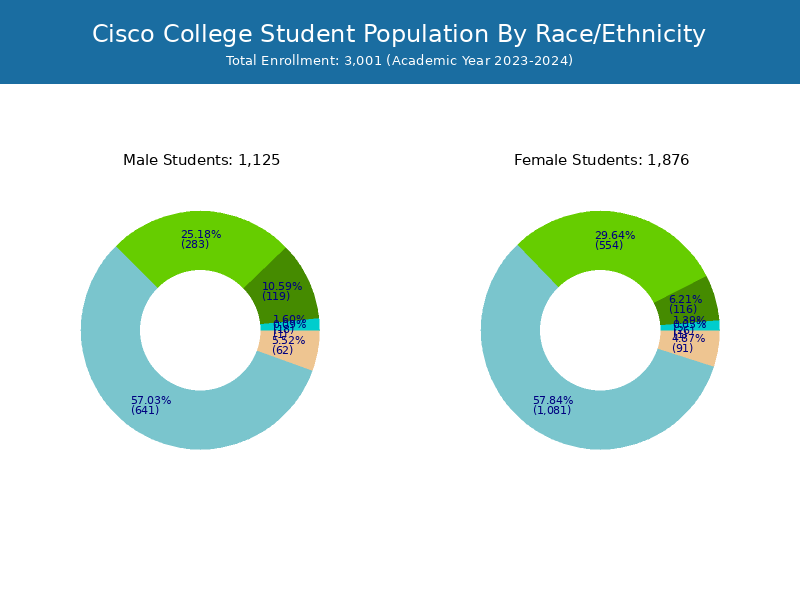 Cisco College Student Population and Demographics