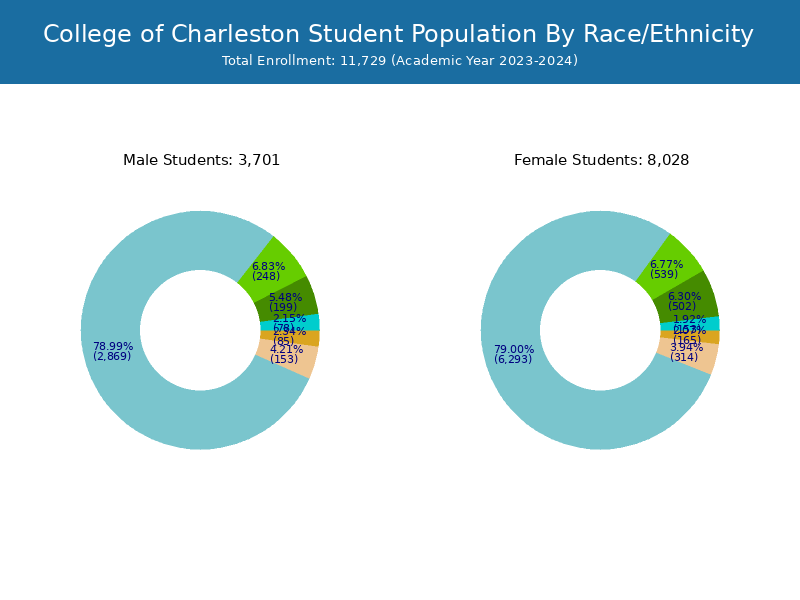 College of Charleston Student Population and Demographics