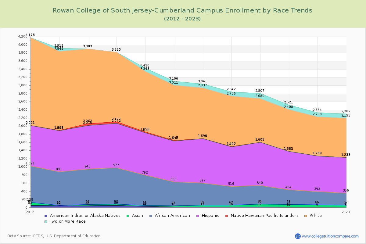 Rowan College of South Jersey-Cumberland Campus Enrollment by Race Trends Chart