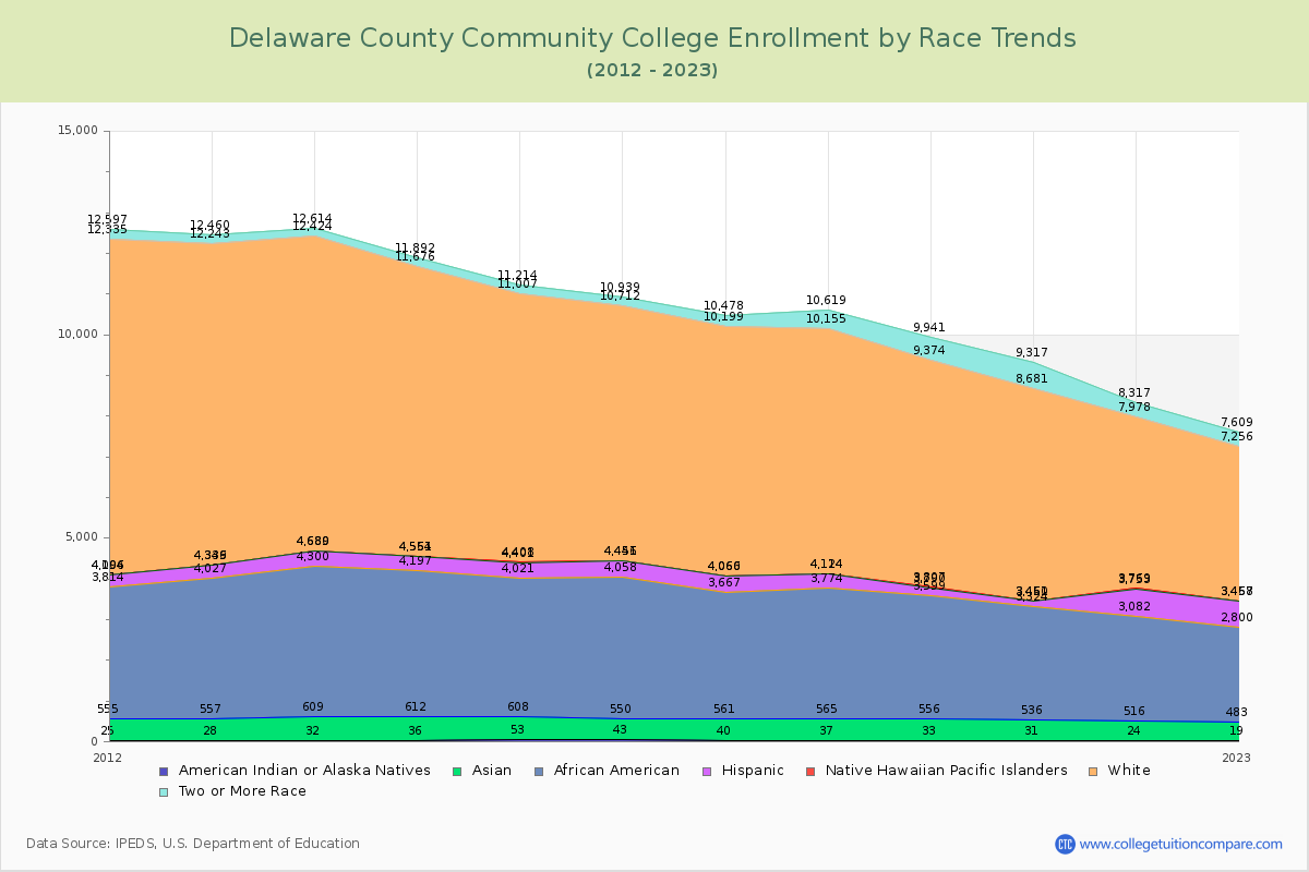 Delaware County Community College Enrollment by Race Trends Chart
