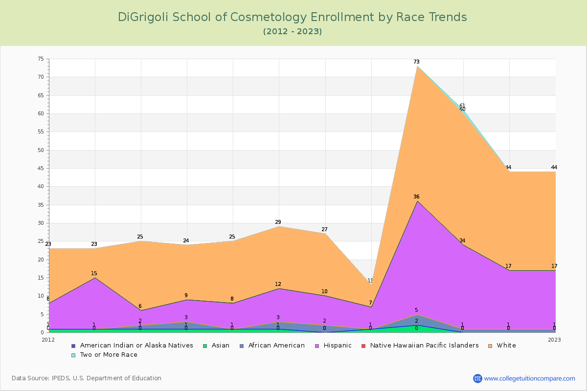DiGrigoli School of Cosmetology Enrollment by Race Trends Chart