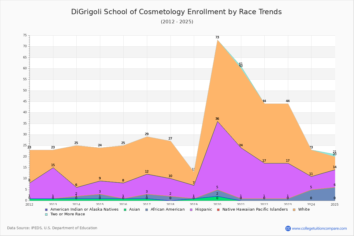 DiGrigoli School of Cosmetology Enrollment by Race Trends Chart