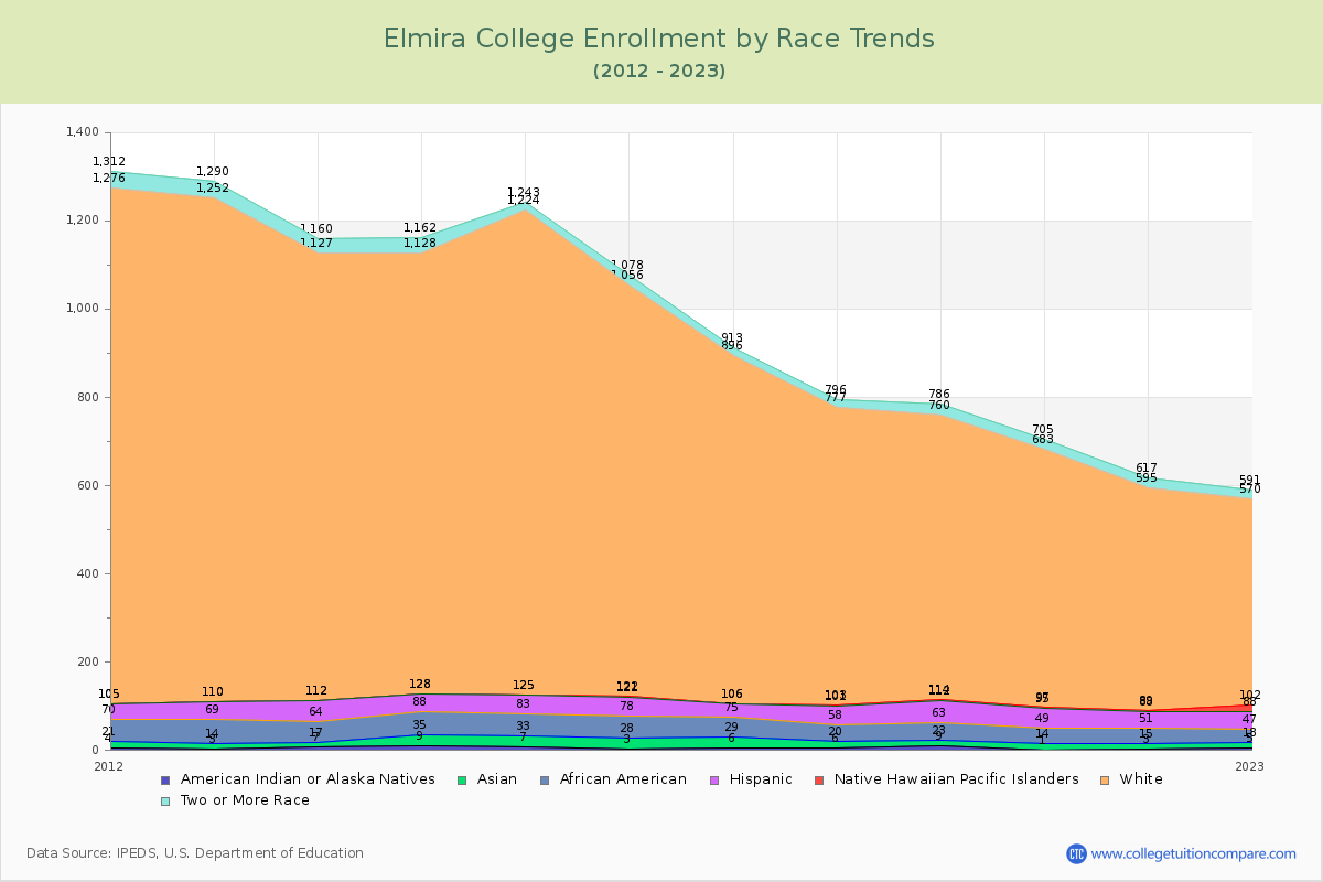 Elmira College Enrollment by Race Trends Chart