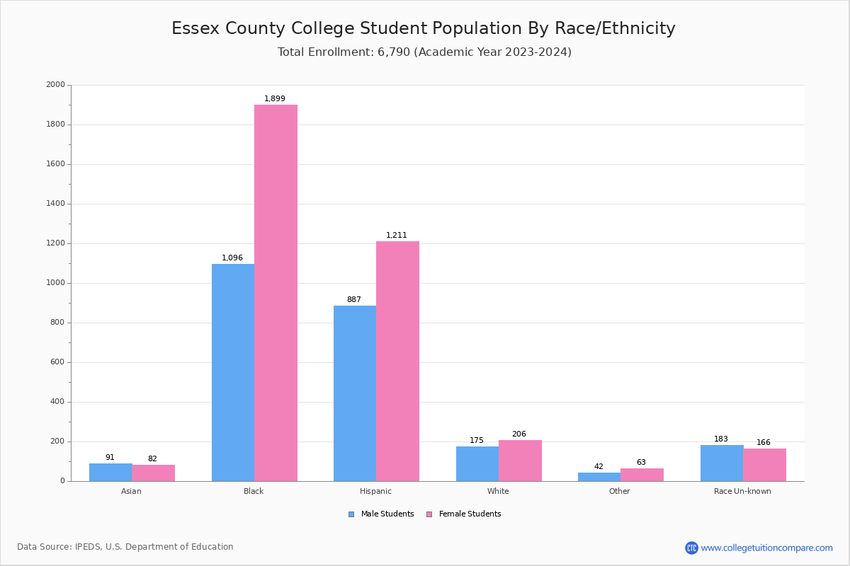 Essex County College Student Population and Demographics