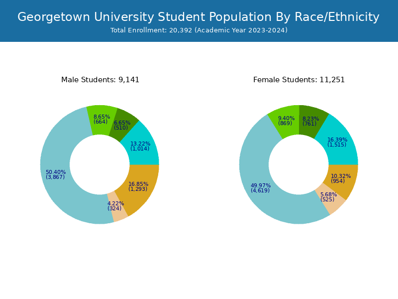 University Student Population and Demographics