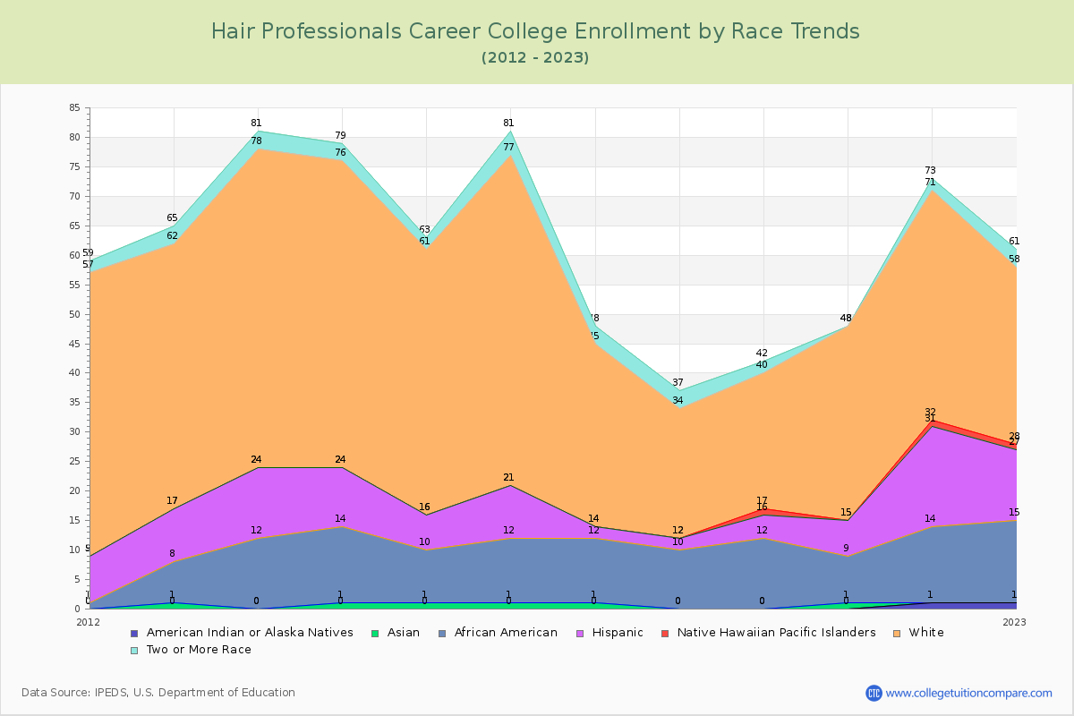 Hair Professionals Career College Enrollment by Race Trends Chart