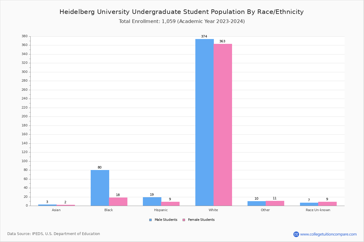 Heidelberg University Student Population and Demographics