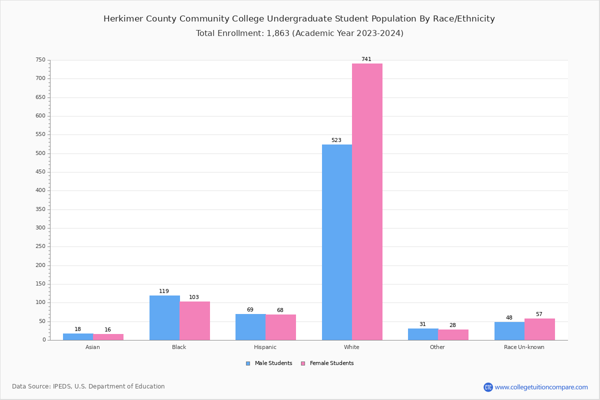 Herkimer County Community College Student Population and Demographics