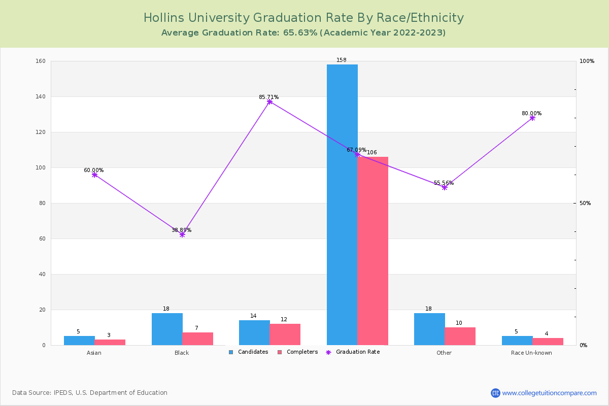 Hollins University graduate rate by race