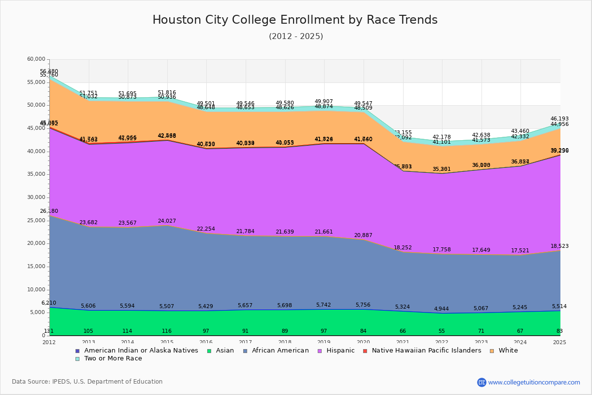 Houston City College Enrollment by Race Trends Chart