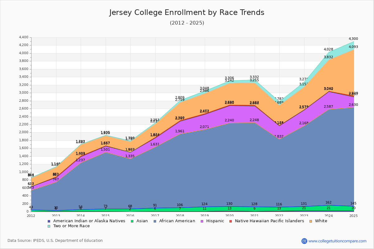 Jersey College Enrollment by Race Trends Chart