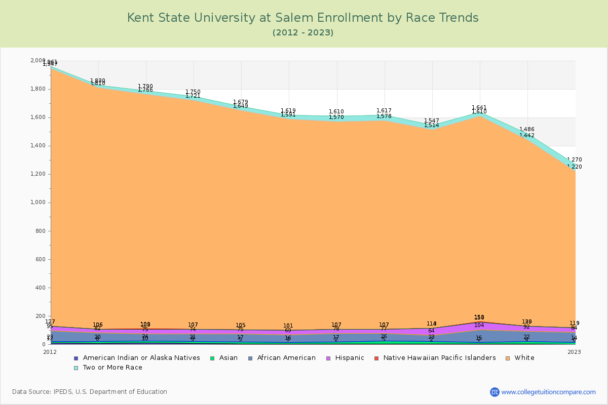 Kent State University at Salem Enrollment by Race Trends Chart