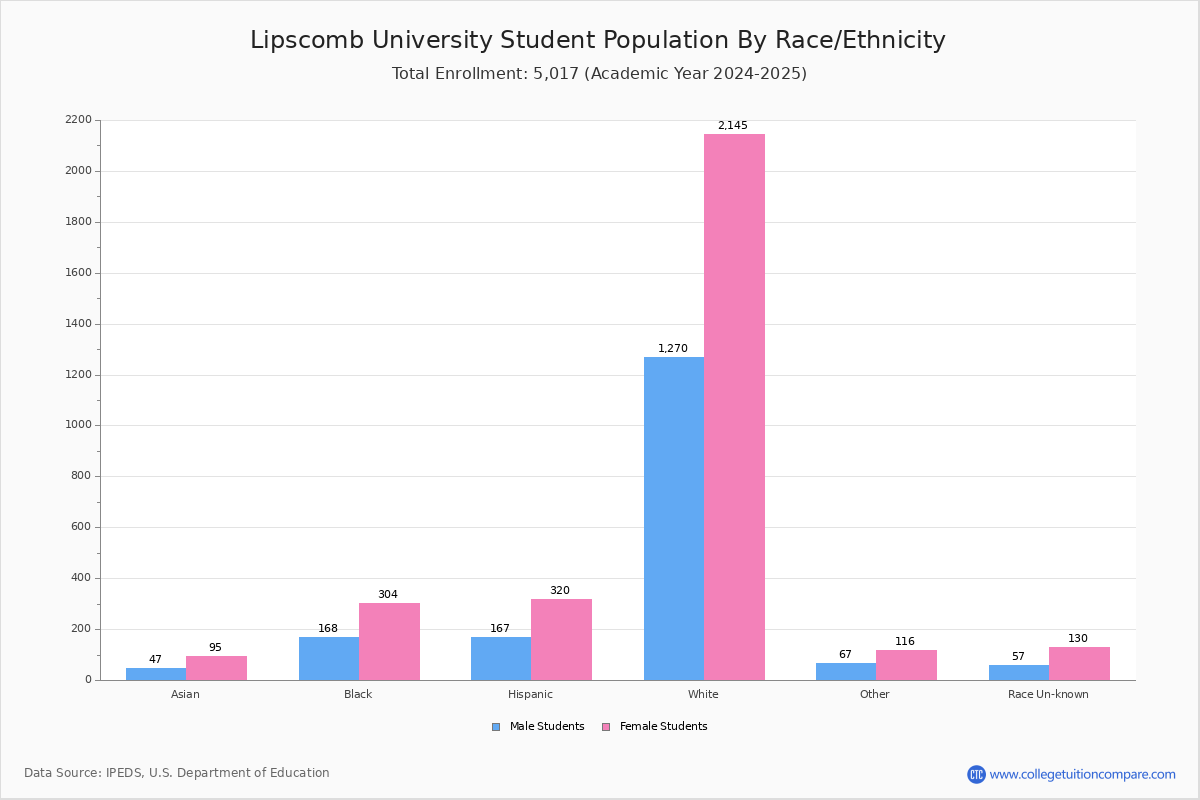 University Student Population and Demographics
