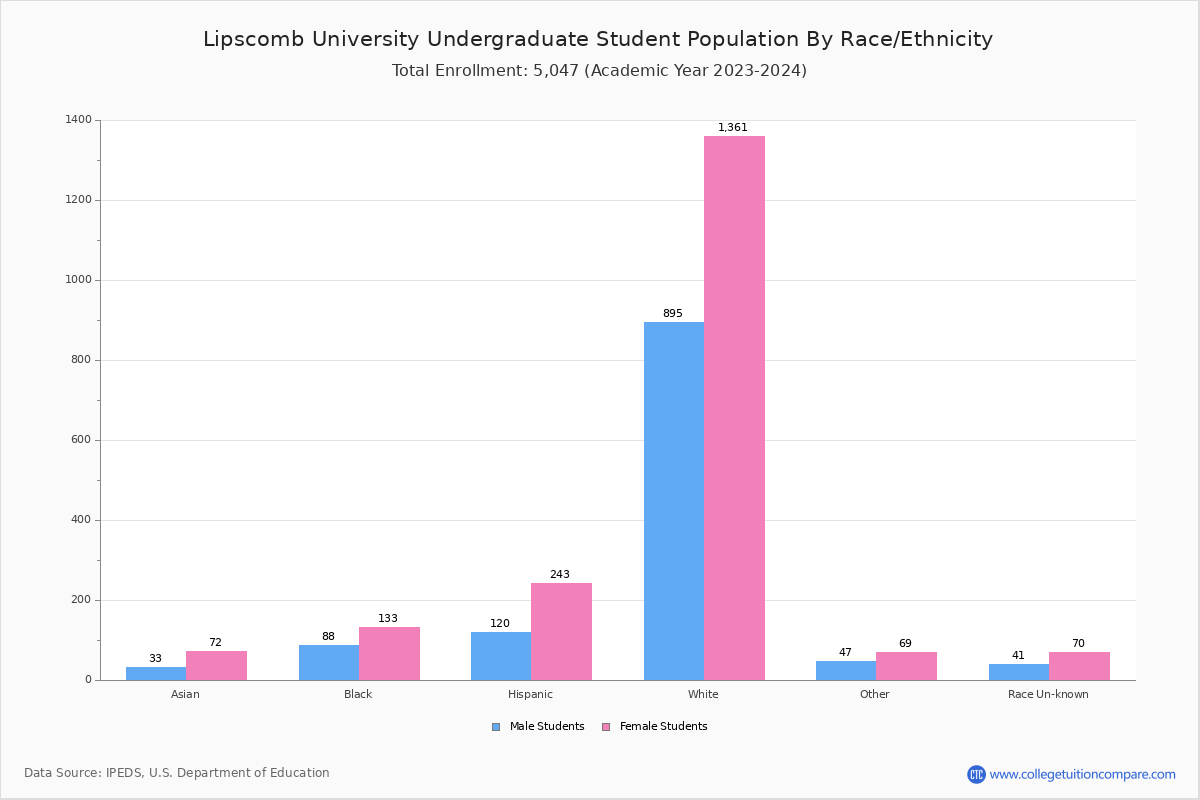 University Student Population and Demographics