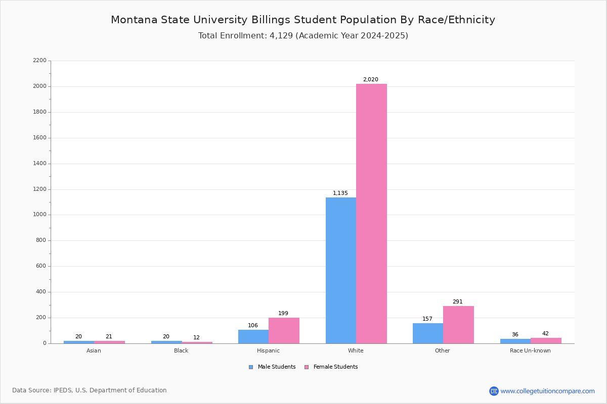 Montana State University Billings Student Population And Demographics