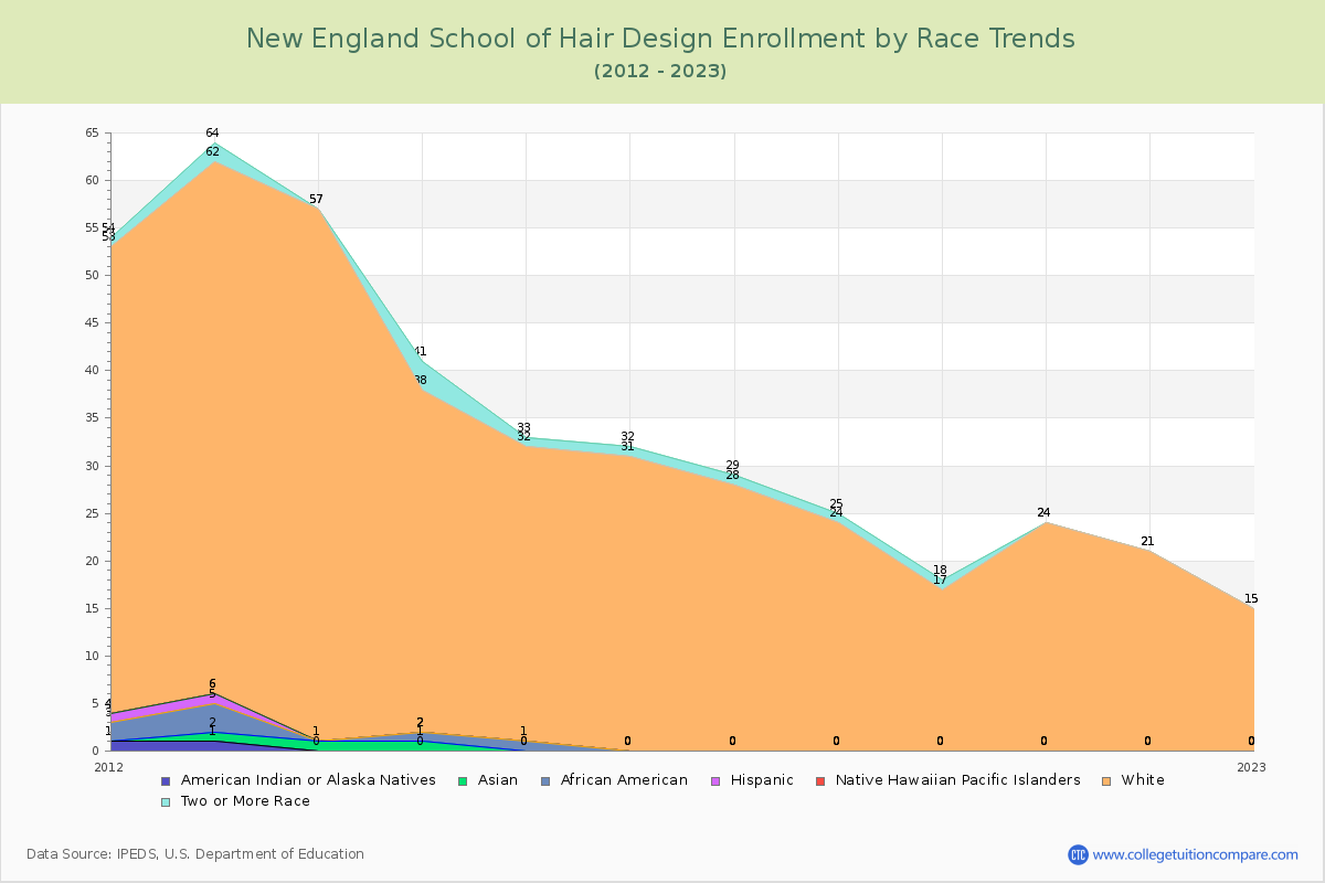 New England School of Hair Design Enrollment by Race Trends Chart