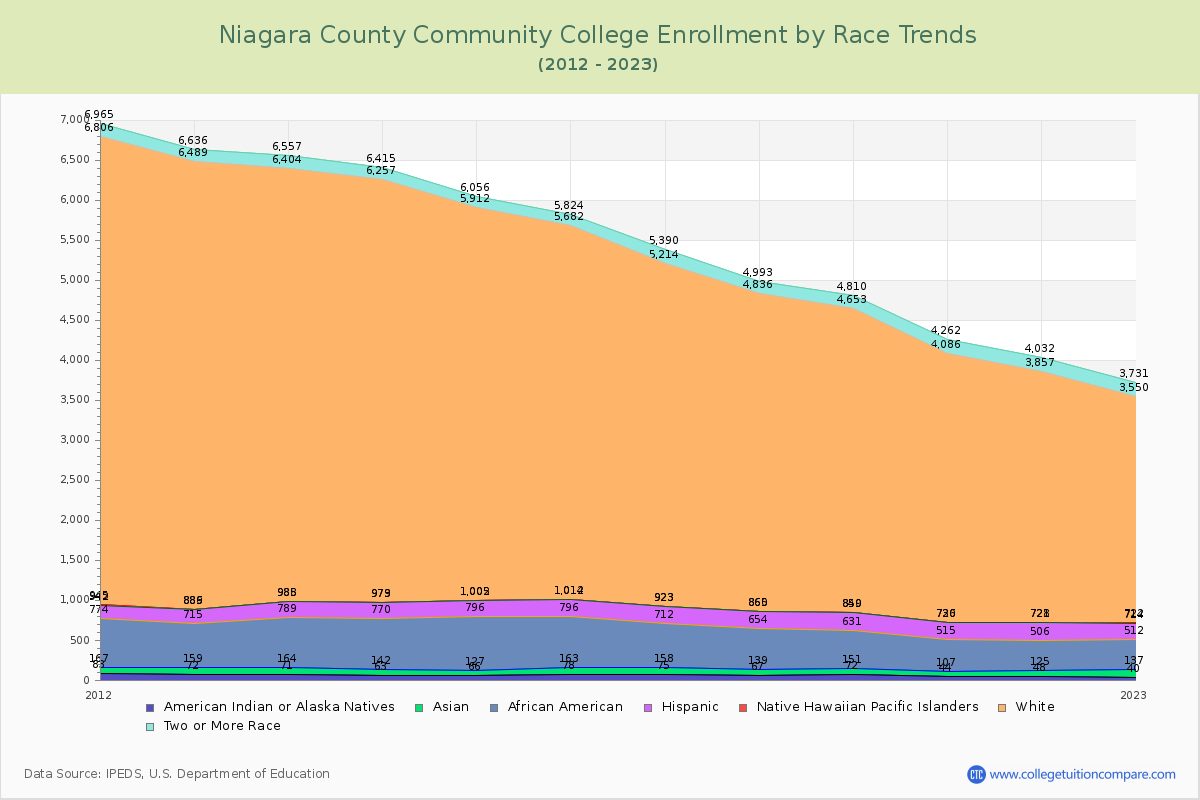 Niagara County Community College Enrollment by Race Trends Chart