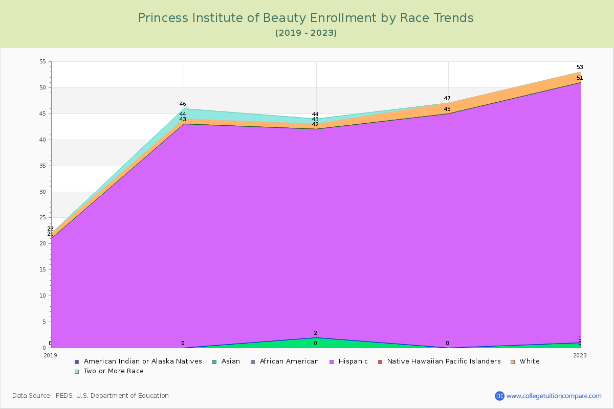Princess Institute of Beauty Enrollment by Race Trends Chart