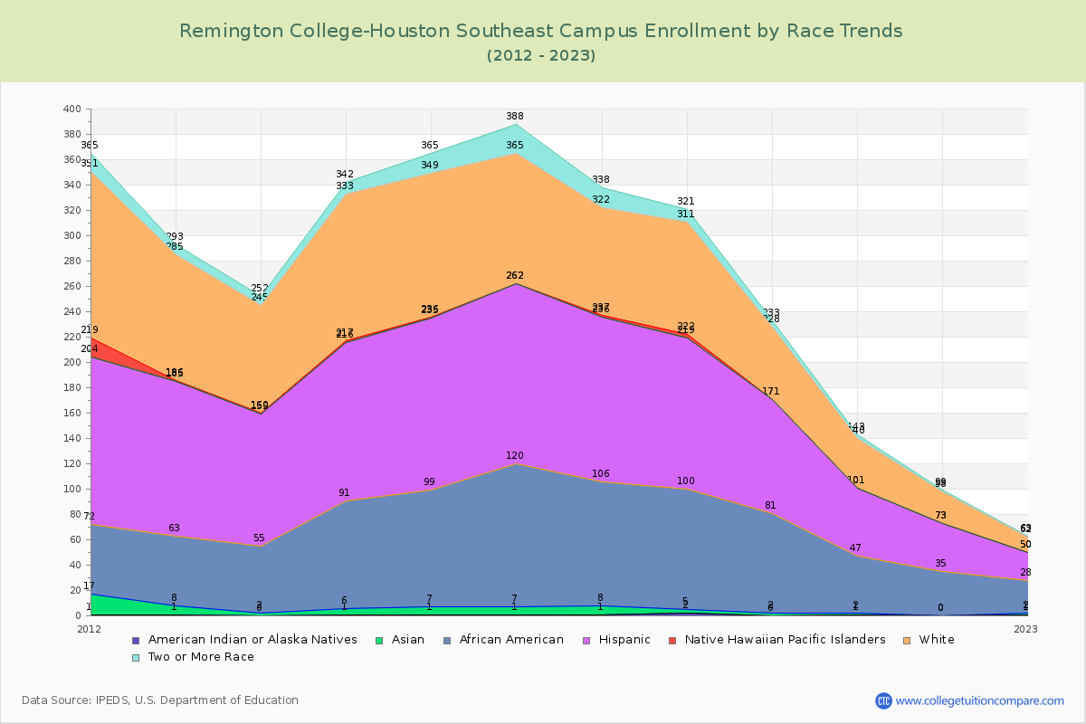 Remington College-Houston Southeast Campus Enrollment by Race Trends Chart