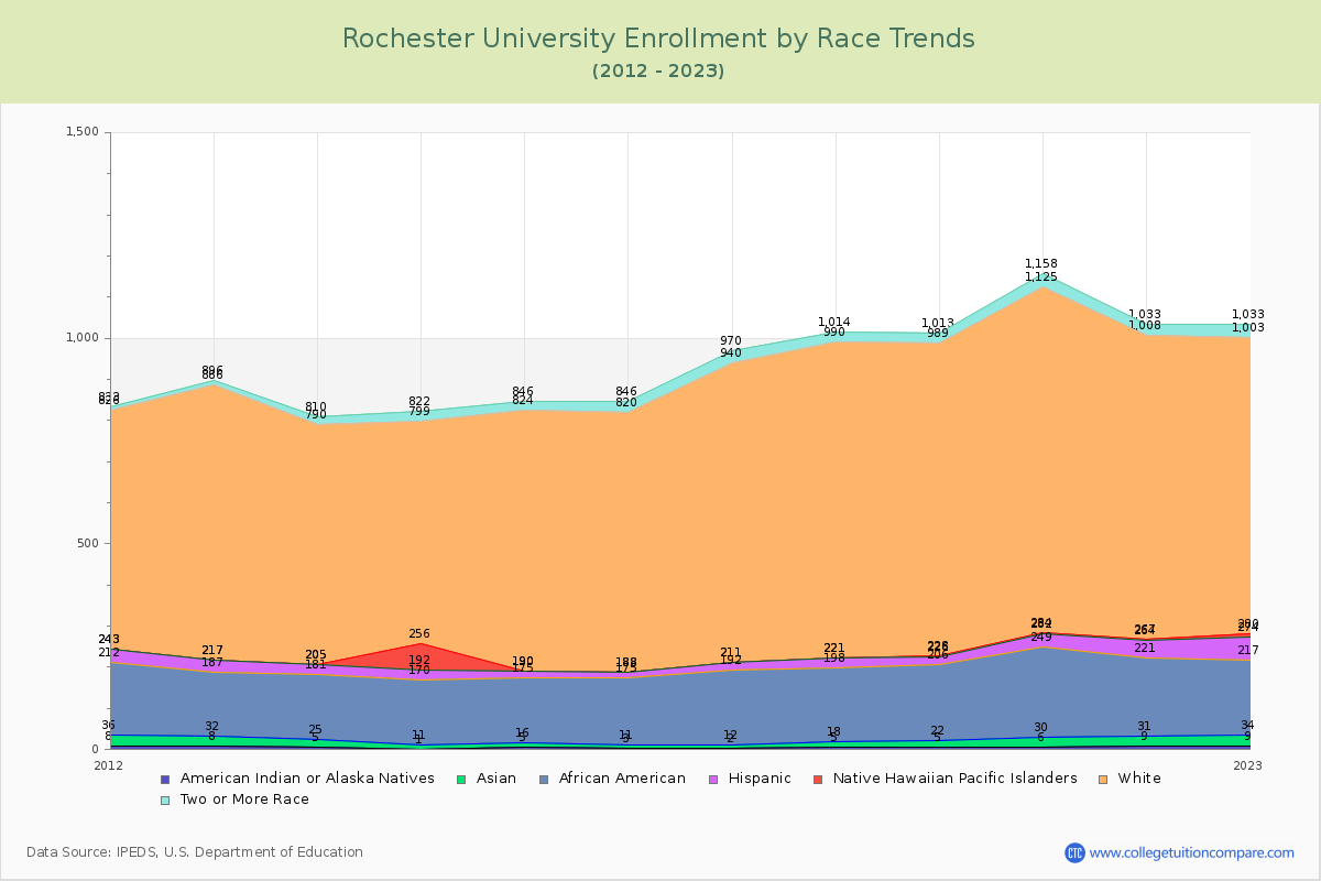 Rochester University Enrollment by Race Trends Chart