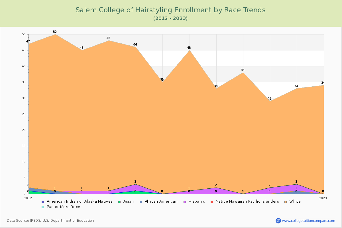 Salem College of Hairstyling Enrollment by Race Trends Chart