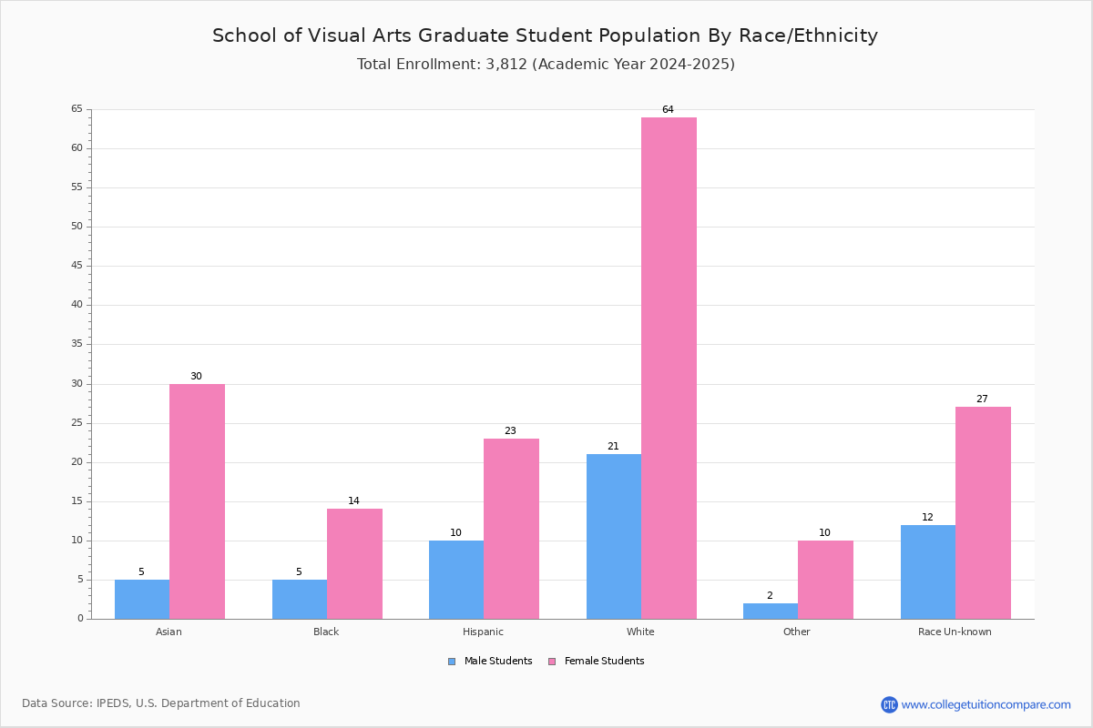 School of Visual Arts Student Population and Demographics