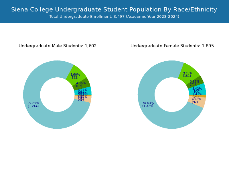 Siena College Student Population and Demographics Siena College Undergraduate Enrollment 2025 Enrollment