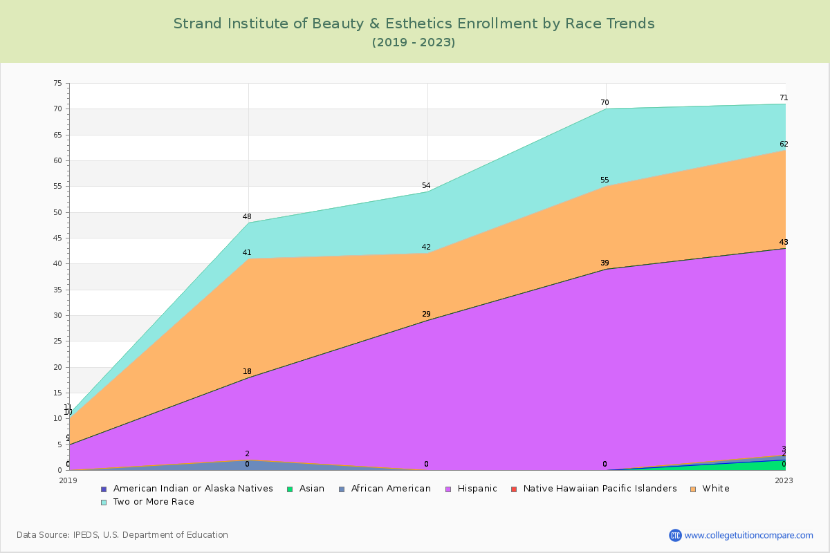 Strand Institute of Beauty & Esthetics Enrollment by Race Trends Chart