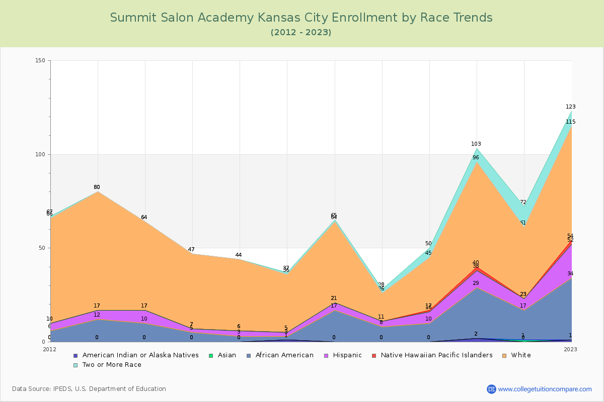 Summit Salon Academy Kansas City Enrollment by Race Trends Chart