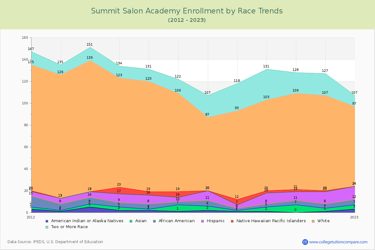 Summit Salon Academy Enrollment by Race Trends Chart