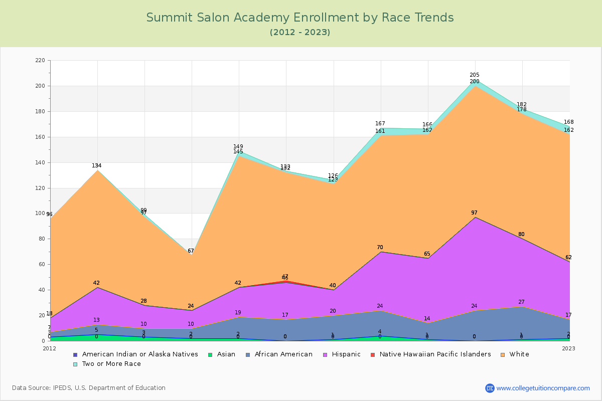 Summit Salon Academy Enrollment by Race Trends Chart