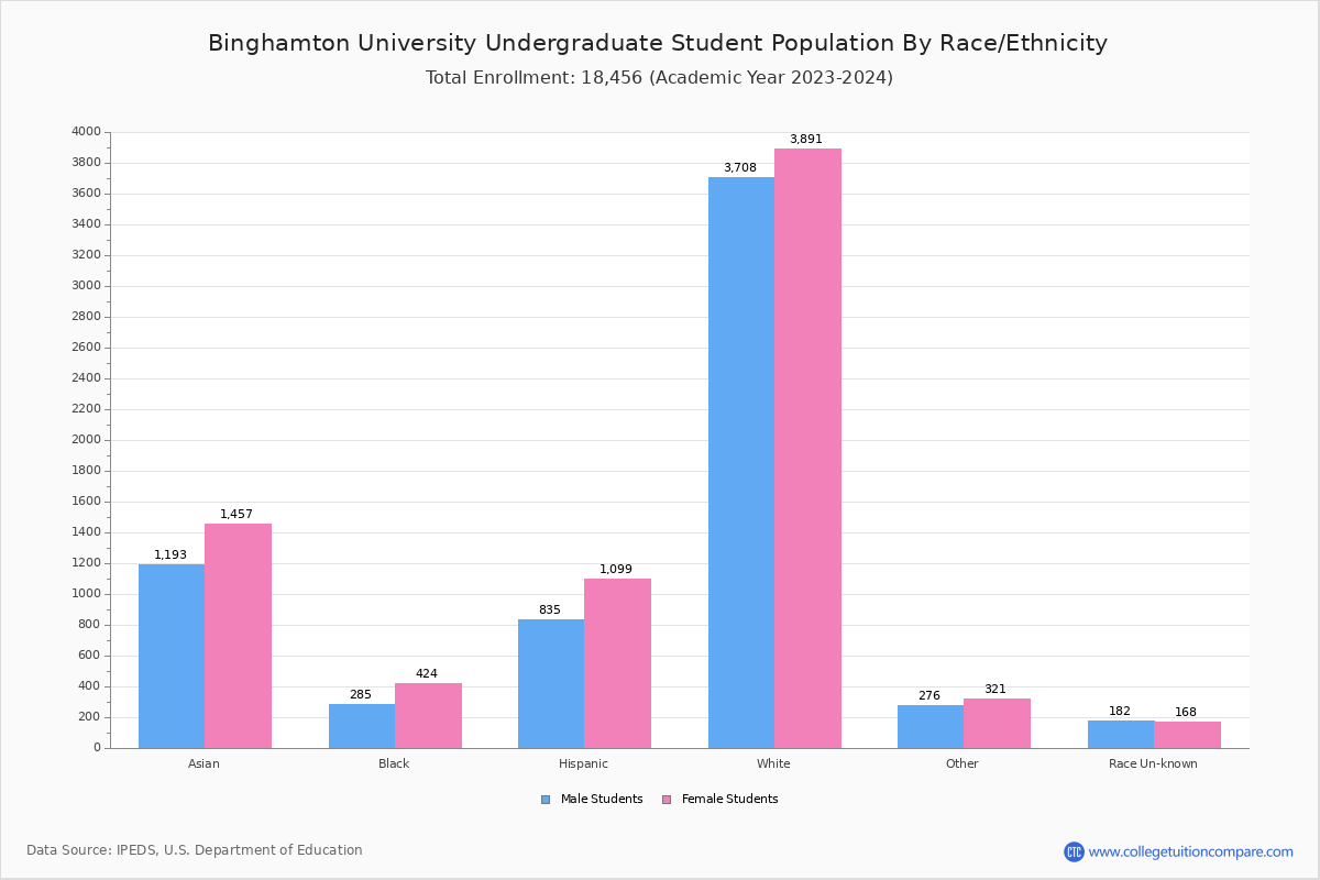 Binghamton University Student Population And Demographics