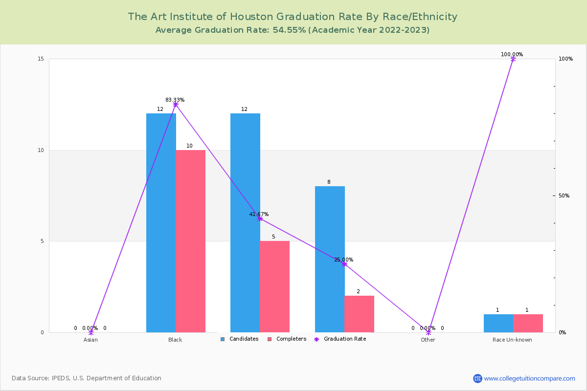 The Art Institute of Houston graduate rate by race