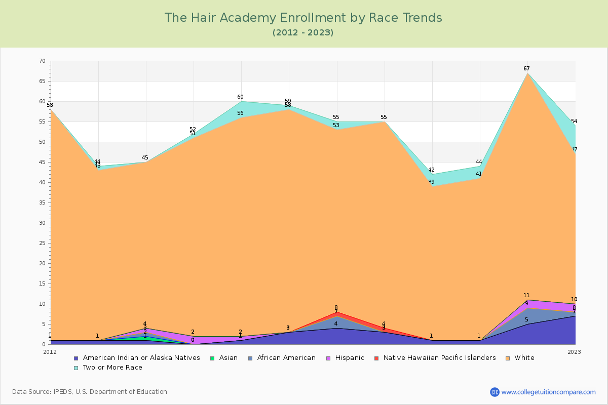 The Hair Academy Enrollment by Race Trends Chart