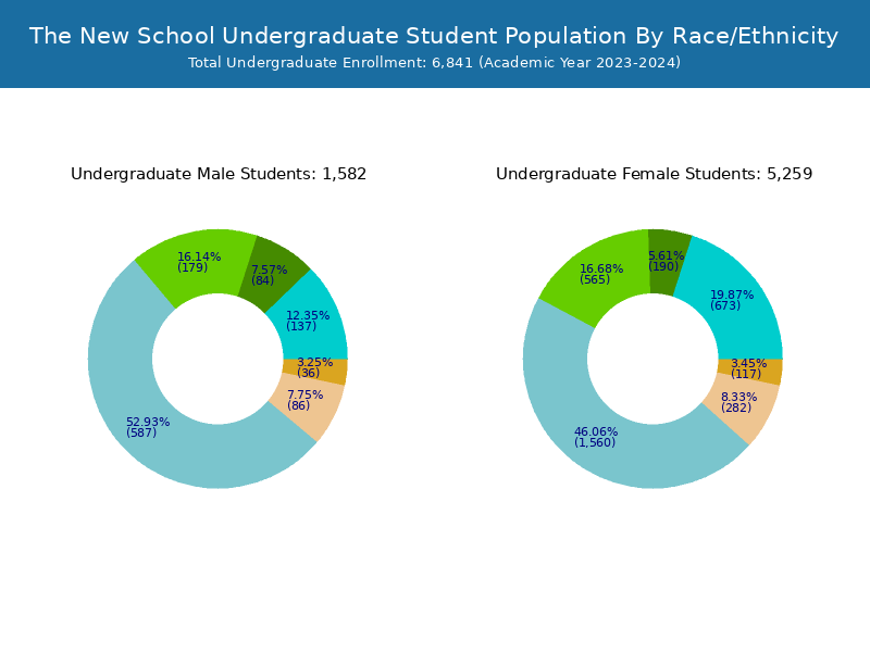 The New School Student Population and Demographics
