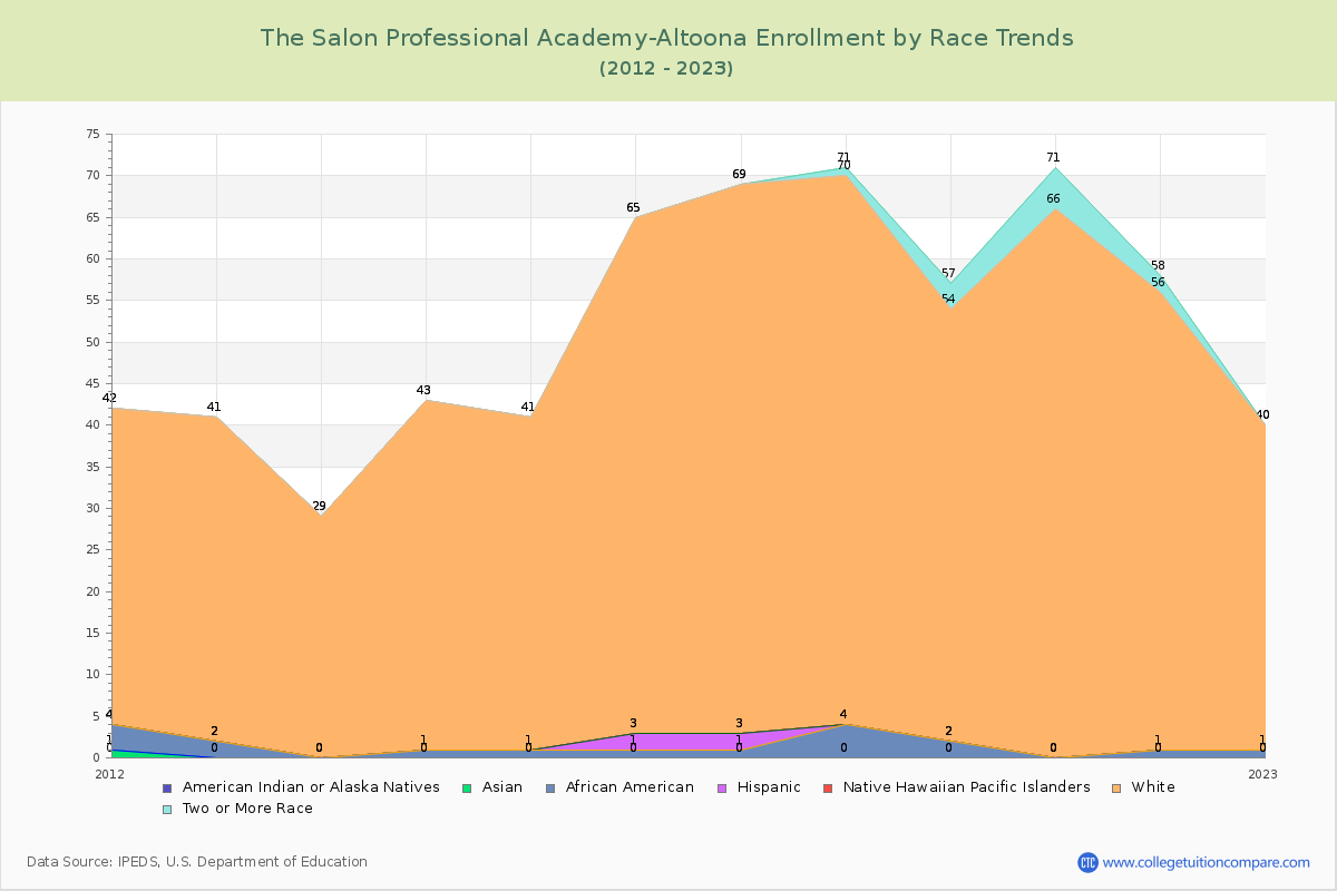 The Salon Professional Academy-Altoona Enrollment by Race Trends Chart
